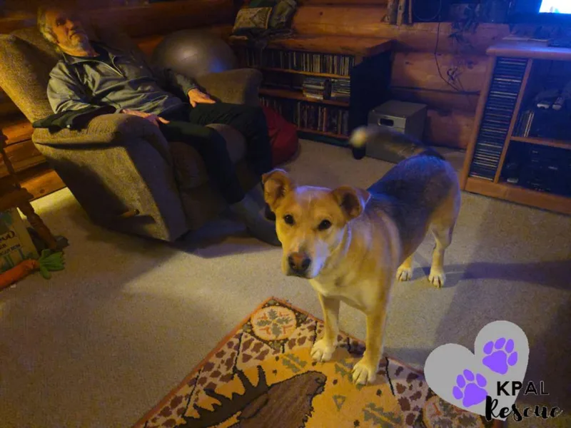 Zora  States Litter thumbnail 4