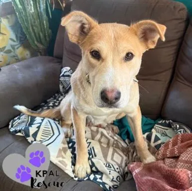 Zora  States Litter thumbnail 5