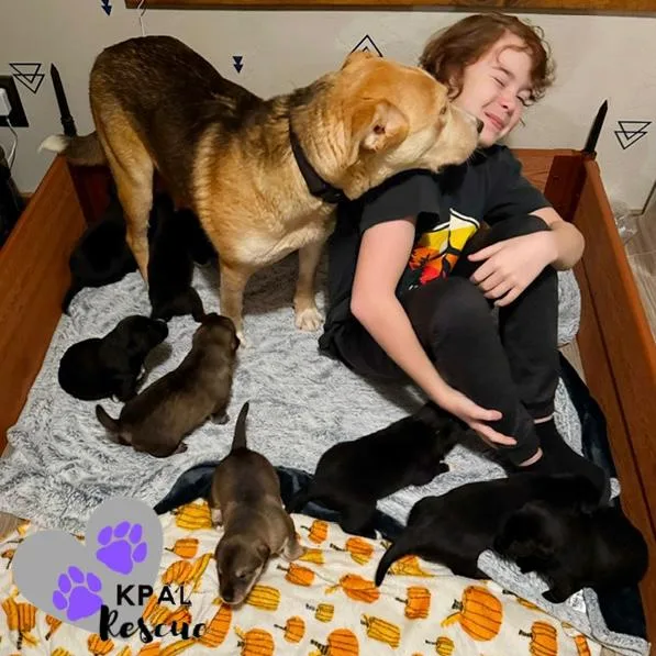 Zora  States Litter thumbnail 6