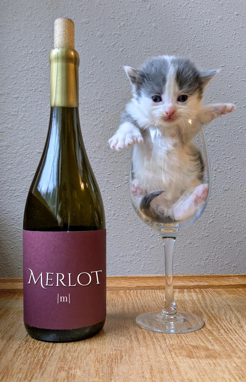 Merlot thumbnail 5