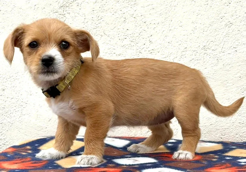 Schoolyard: Hopscotch thumbnail 2