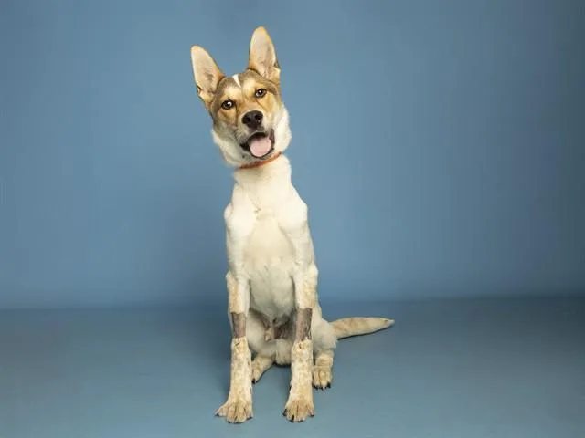 Jude