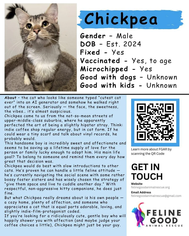 Chickpea thumbnail 4