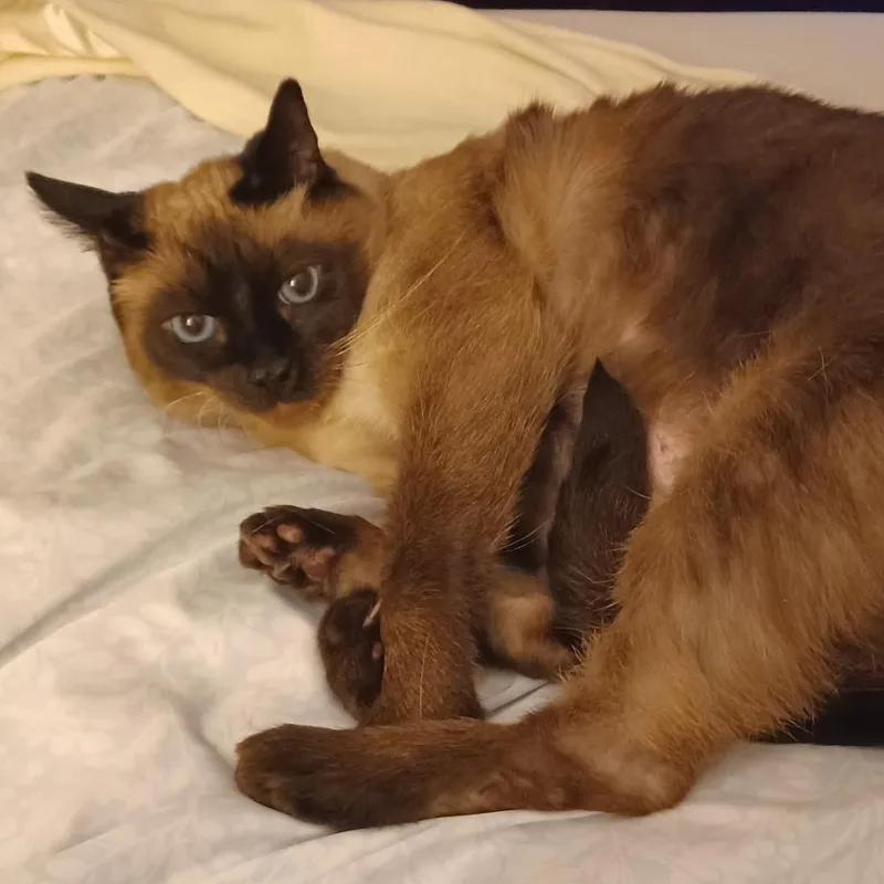 Mimi thumbnail 2
