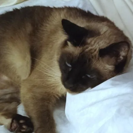 Mimi thumbnail 3