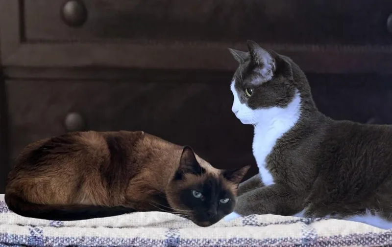 Mimi thumbnail 5