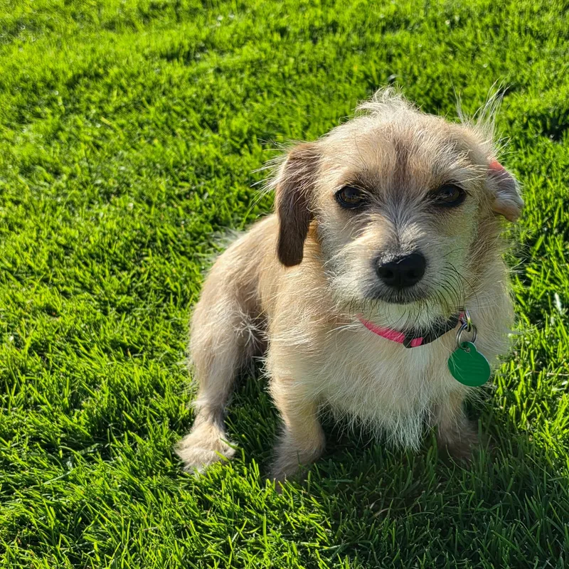 Gabby