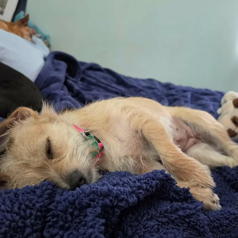 Gabby thumbnail 2