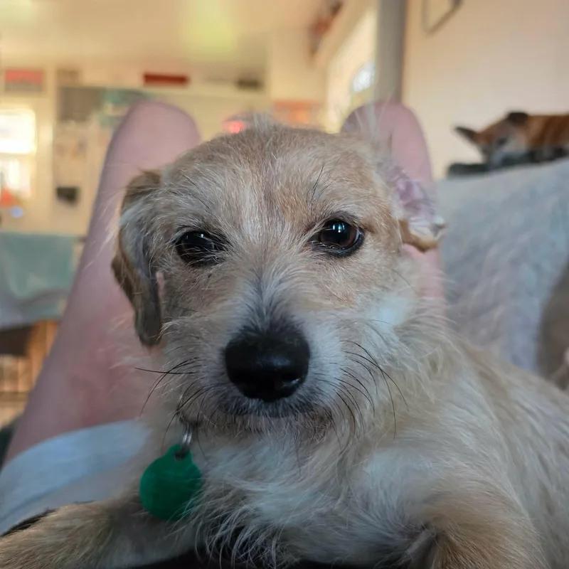 Gabby thumbnail 3