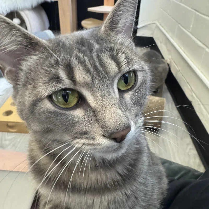 Bradley & Angelina thumbnail 3