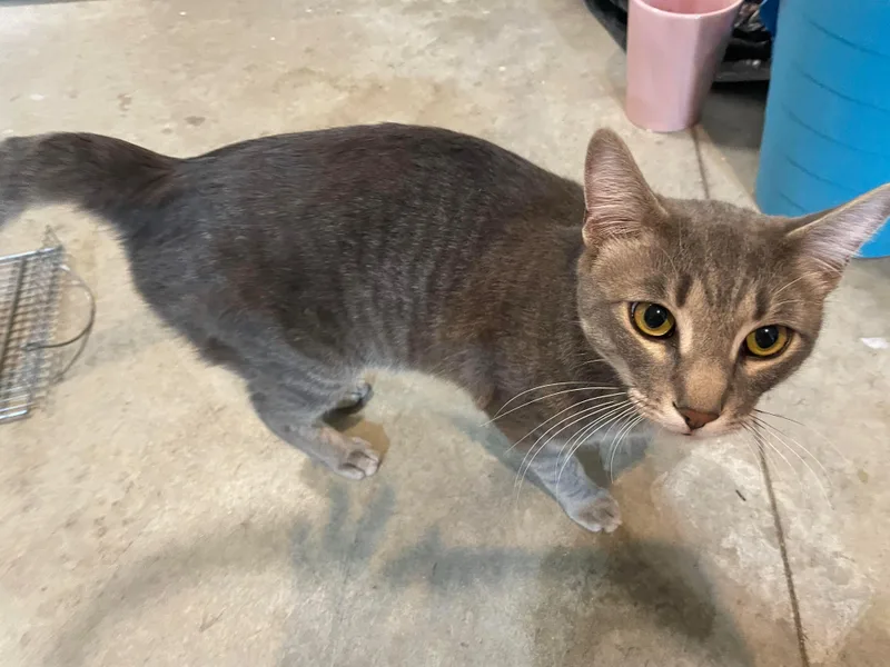 Bradley & Angelina thumbnail 5