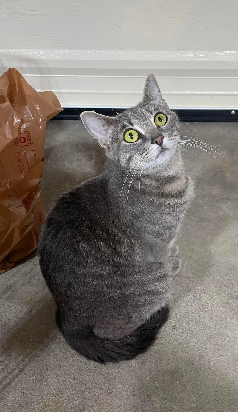 Bradley & Angelina thumbnail 6