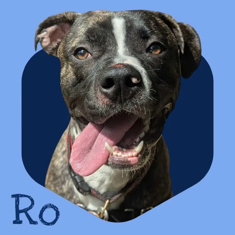 Ro