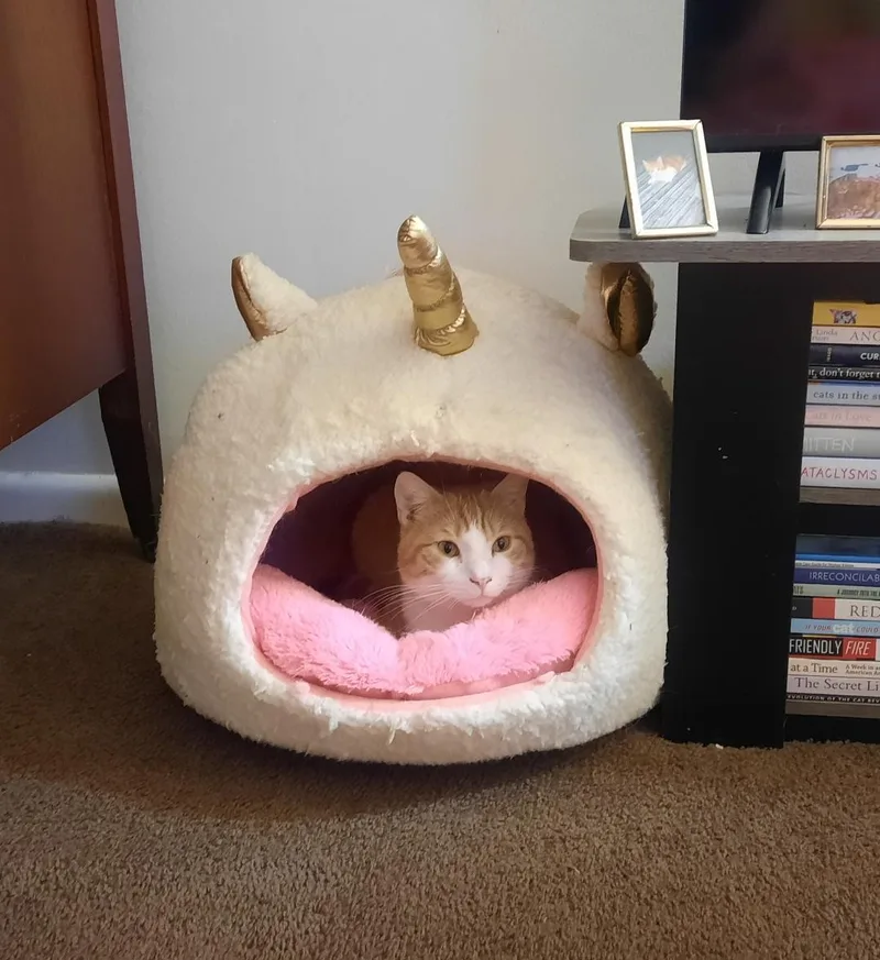 Octavian thumbnail 2