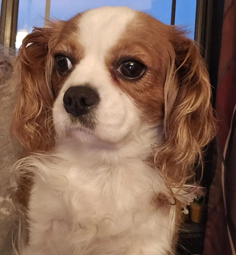 Ellie Mae thumbnail 2