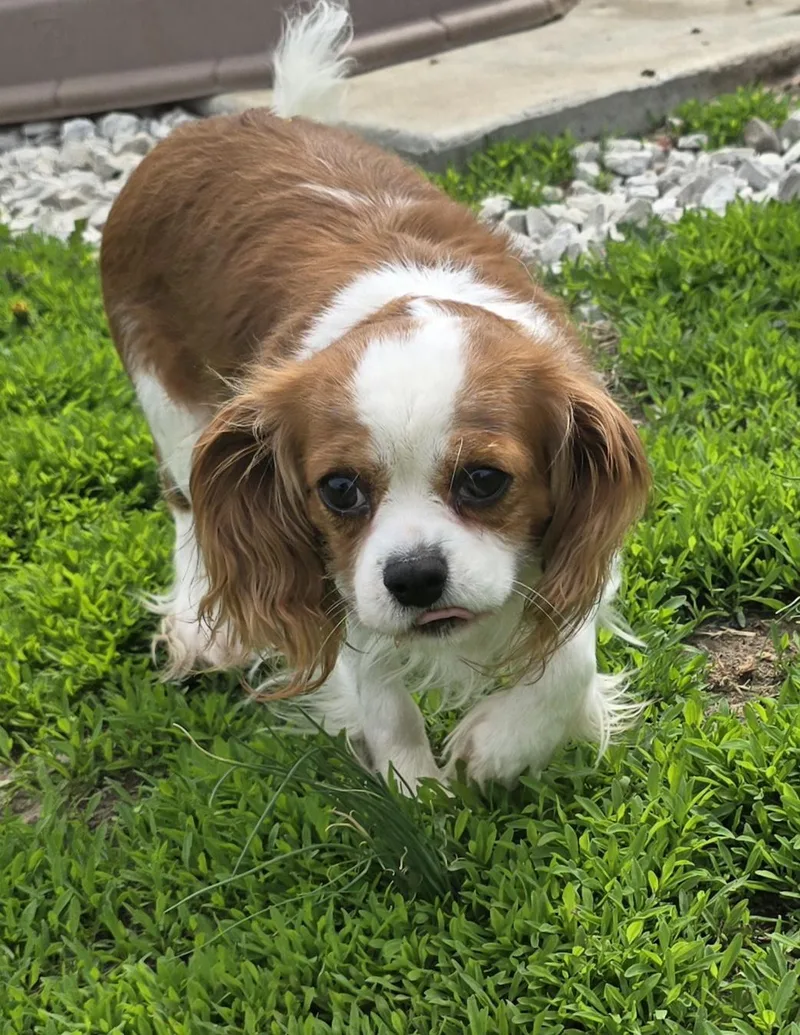 Ellie Mae thumbnail 3