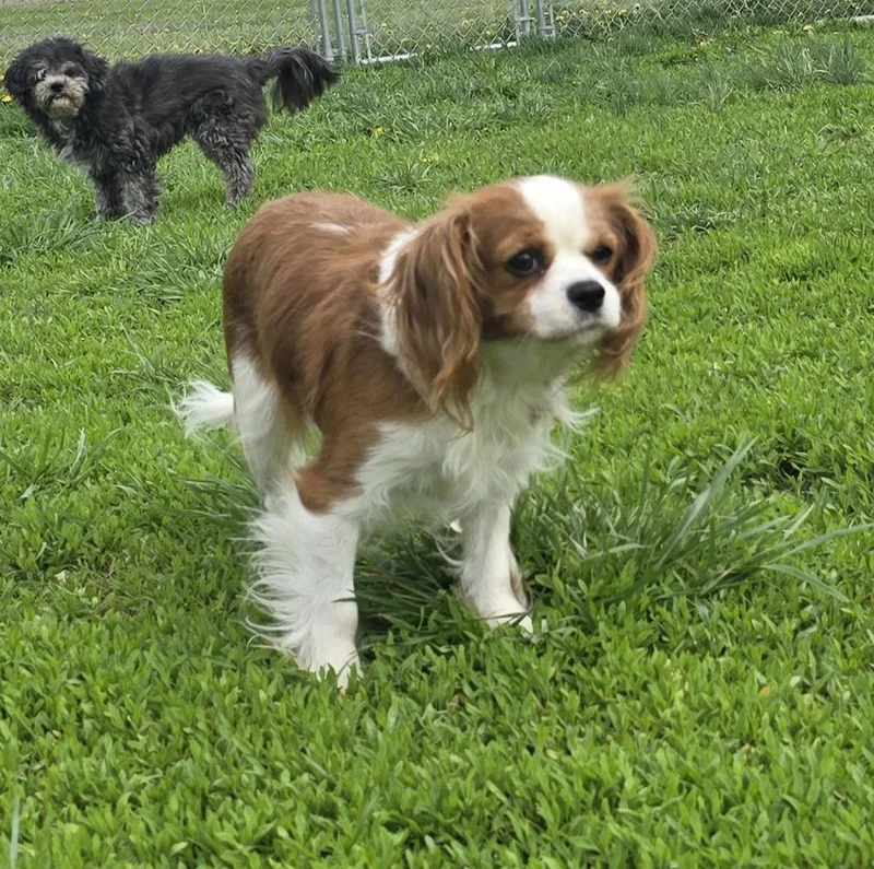 Ellie Mae thumbnail 4