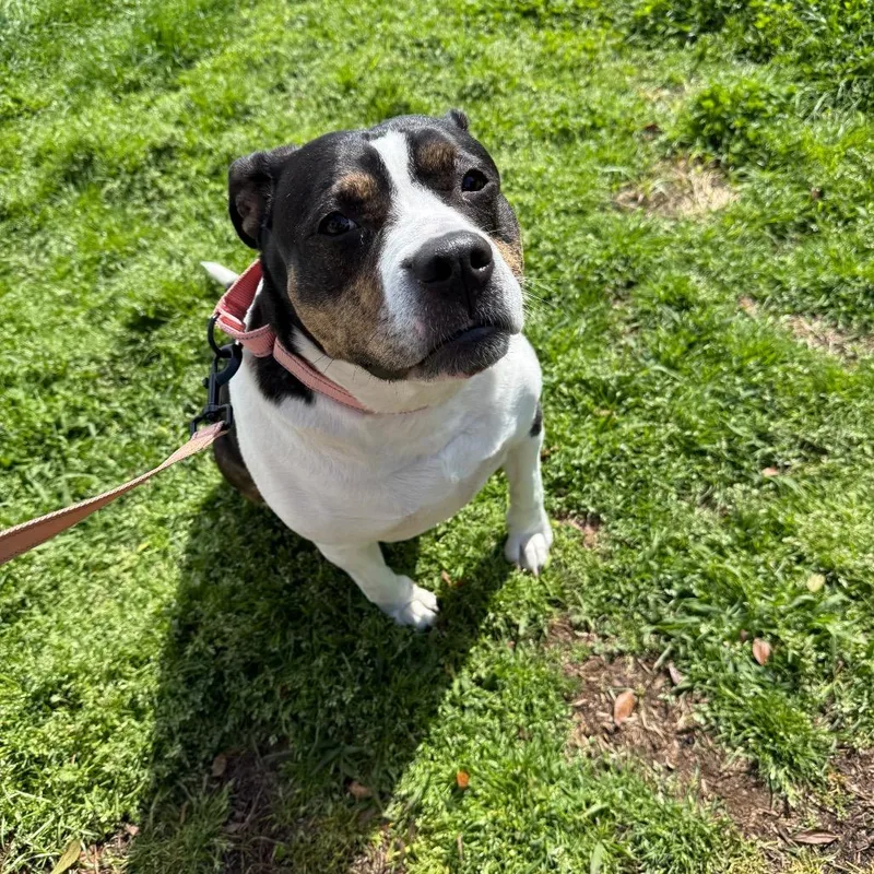 Cindy Lou thumbnail 2