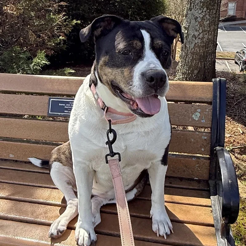 Cindy Lou thumbnail 3