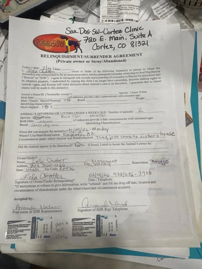 Pearl Puddlesnuff thumbnail 2