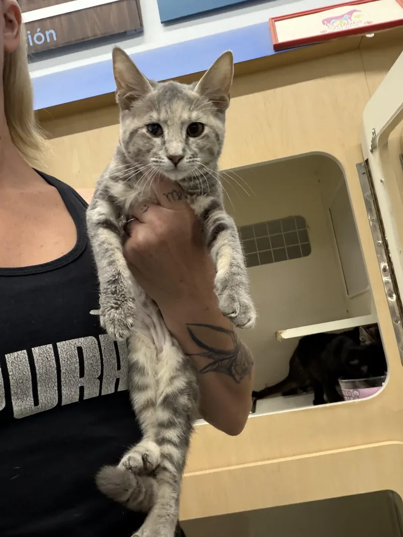 Tina