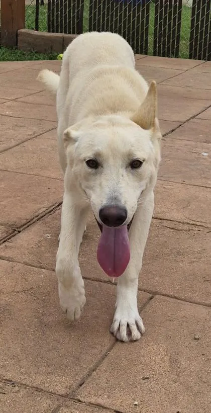 Rosco