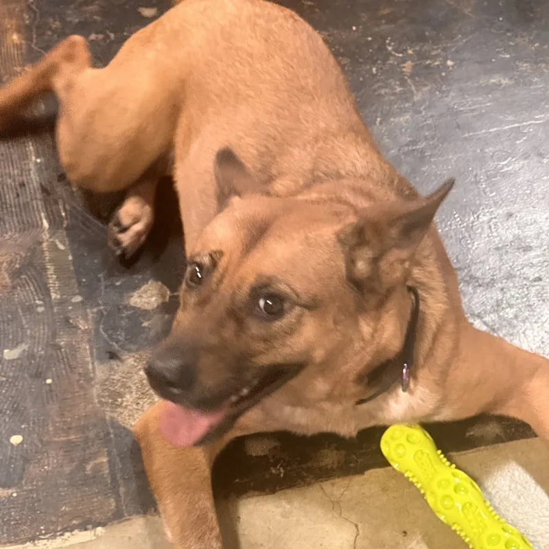 Emma May thumbnail 3