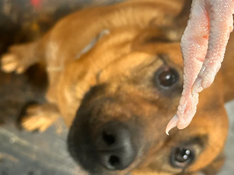 Emma May thumbnail 4