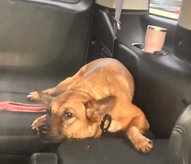 Emma May thumbnail 6