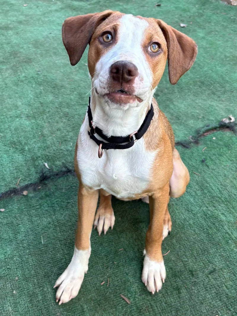 Princess Jemma thumbnail 3