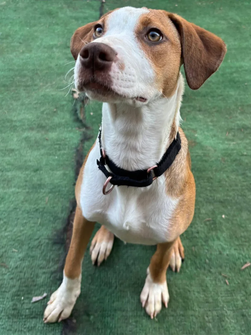 Princess Jemma thumbnail 4