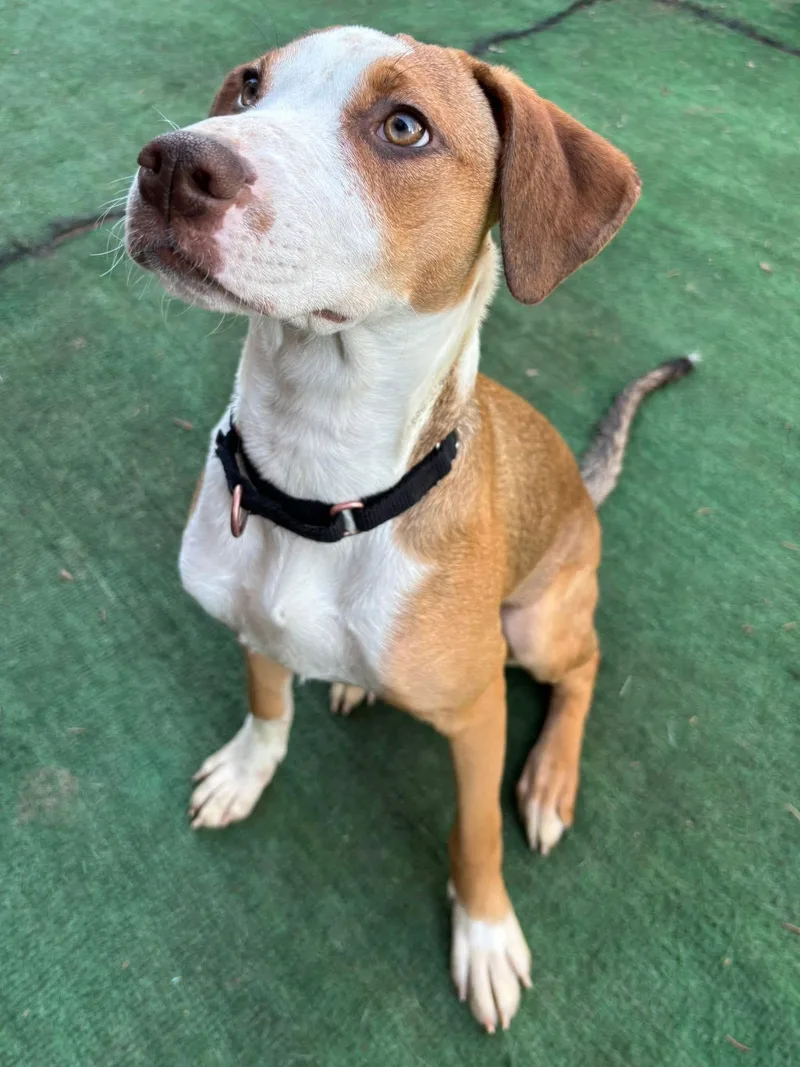 Princess Jemma thumbnail 5