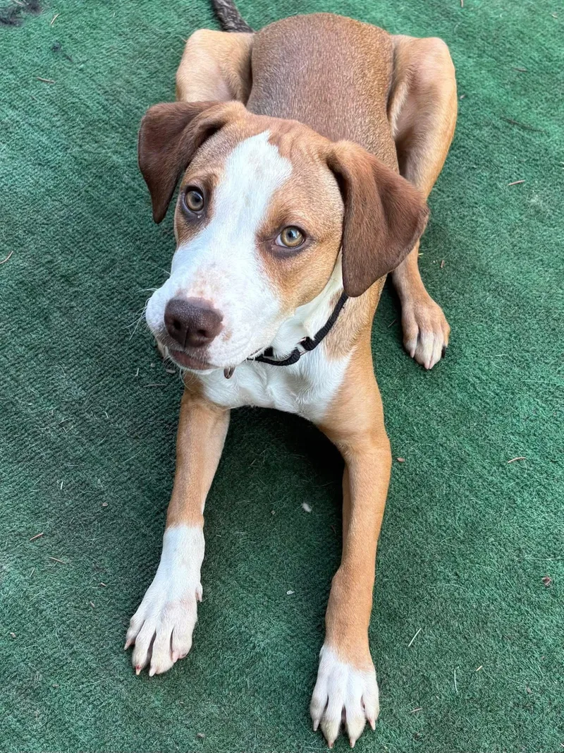 Princess Jemma thumbnail 6