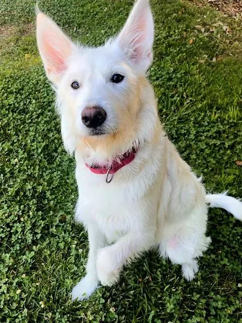 Macy
