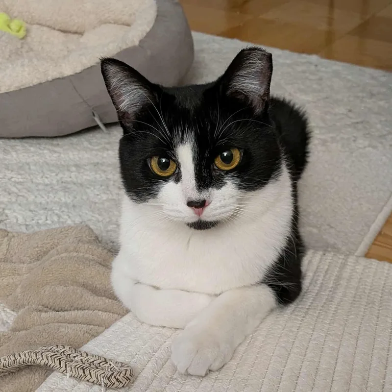 Daisy & Lily  thumbnail 2