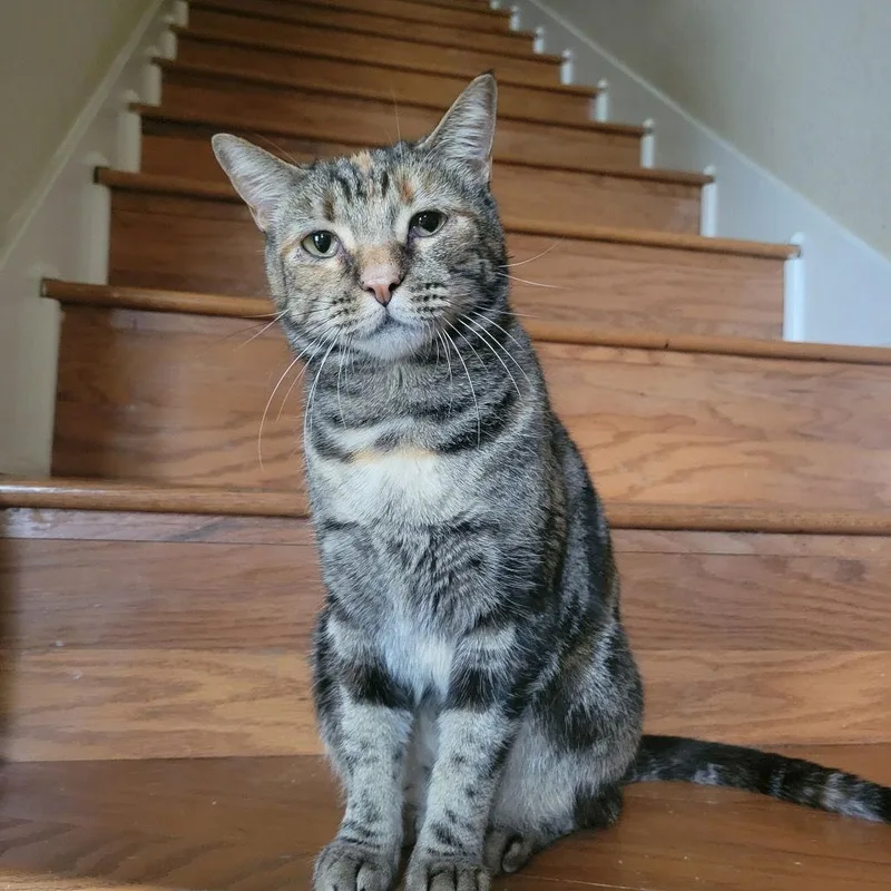 Theodora thumbnail 2