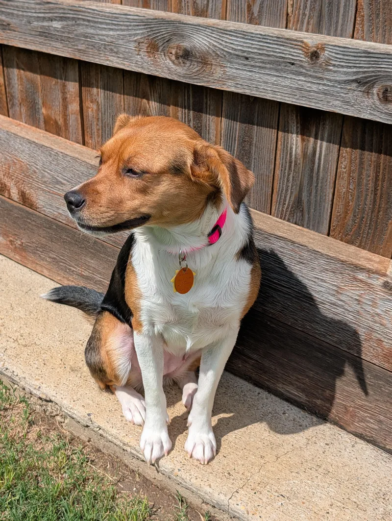 Daisy A thumbnail 2