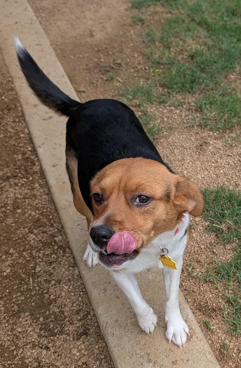 Daisy A thumbnail 4