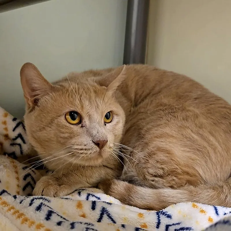 Harry Bonded To Prince thumbnail 2