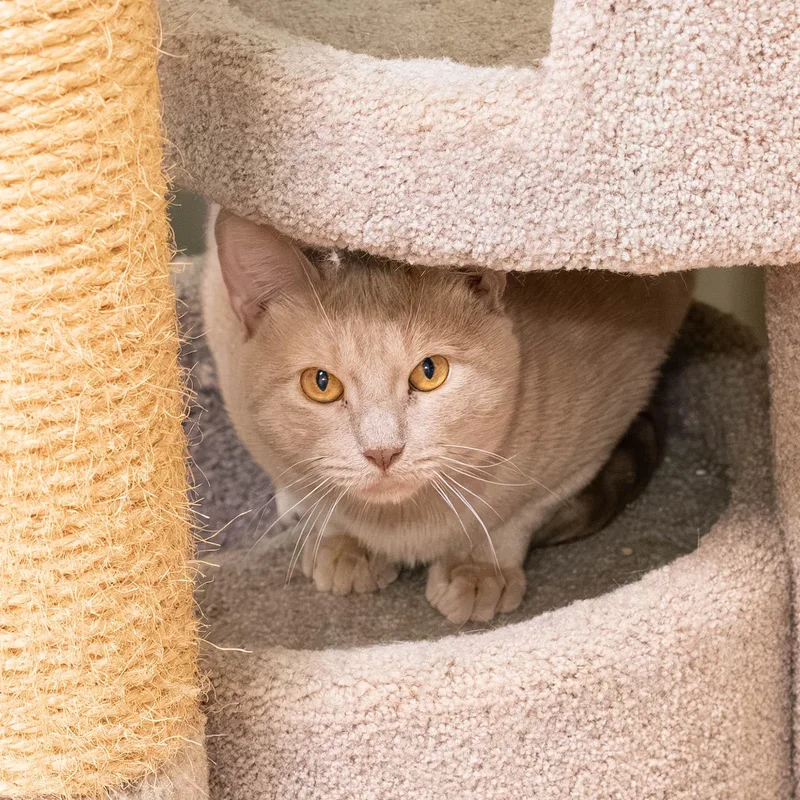 Harry Bonded To Prince thumbnail 3