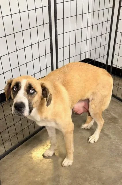 Treasure thumbnail 2