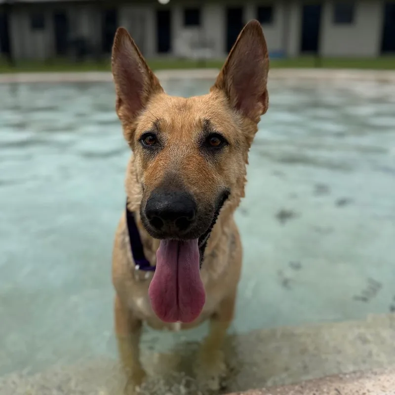 Patricia thumbnail 2