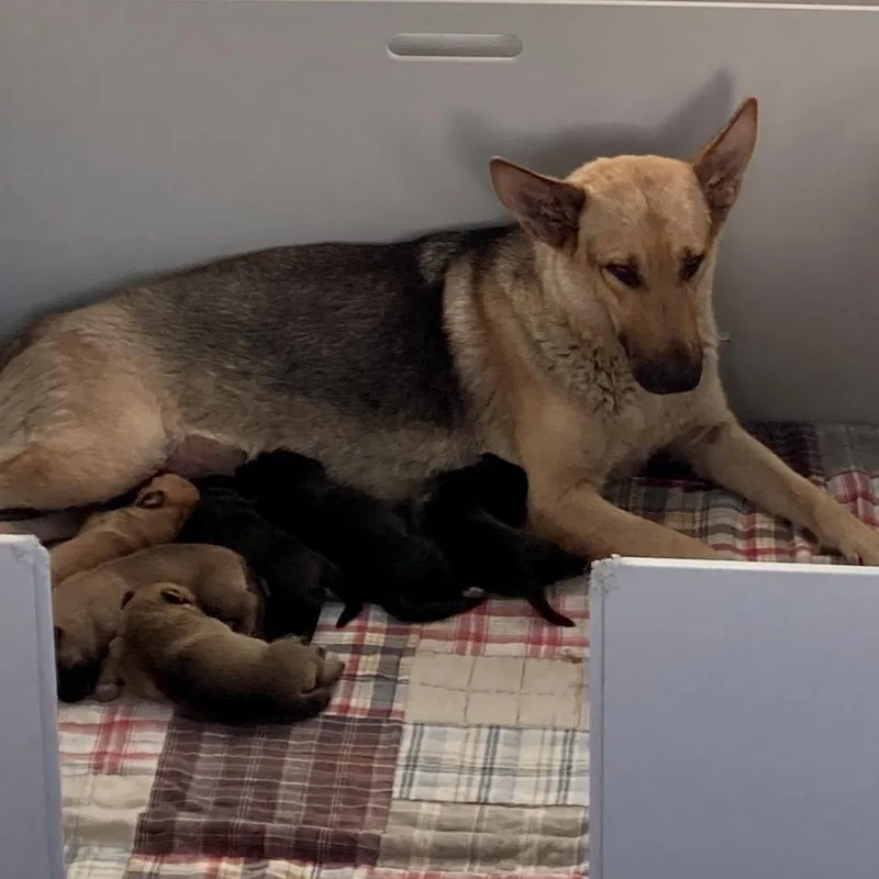 Patricia thumbnail 3