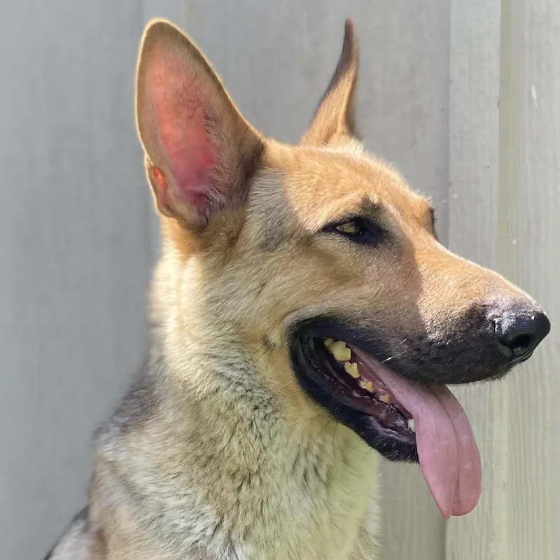 Patricia thumbnail 5