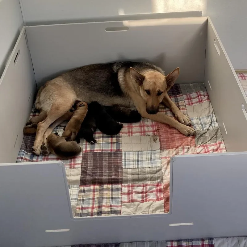 Patricia thumbnail 6