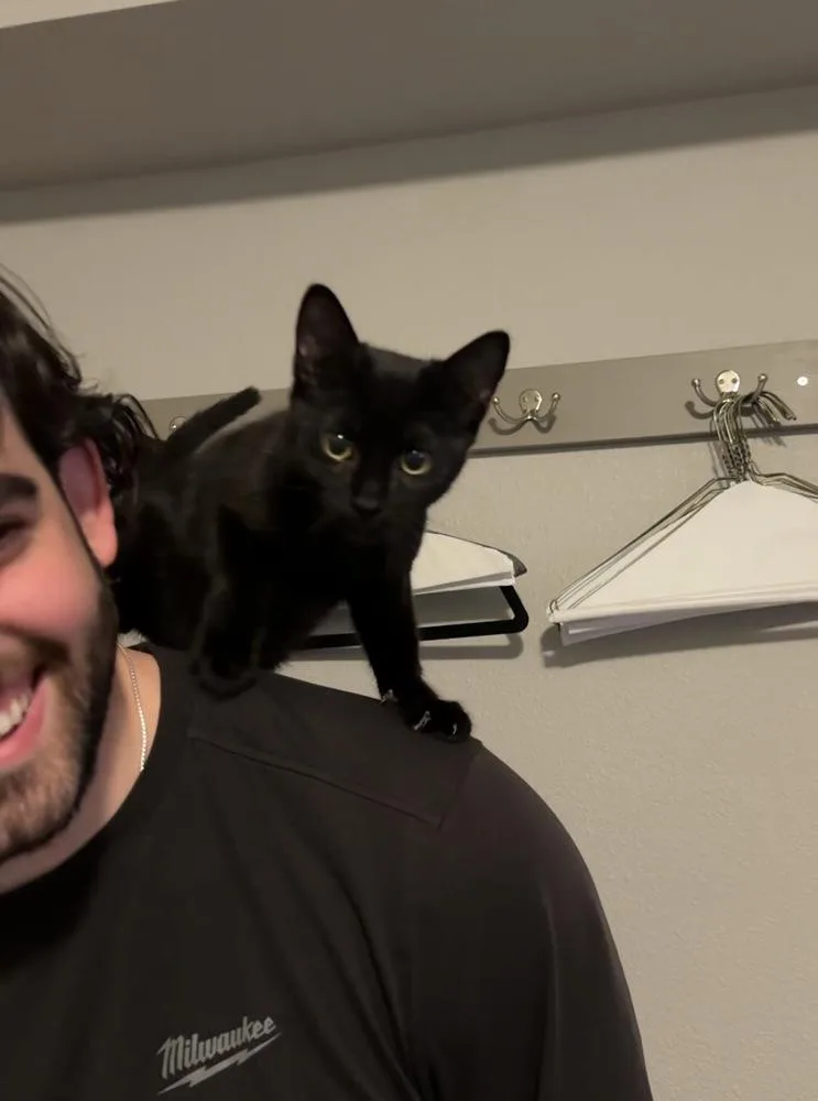 Toe Beans thumbnail 2