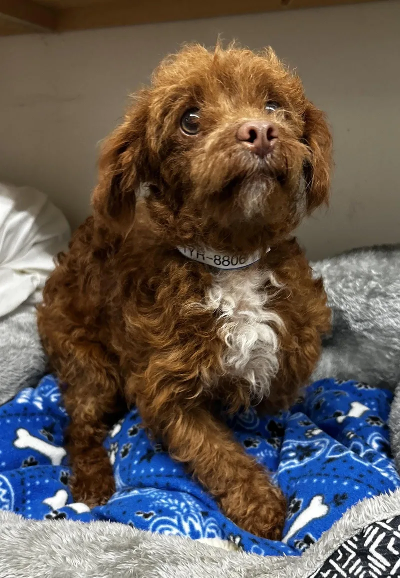 Olaf Mar thumbnail 2