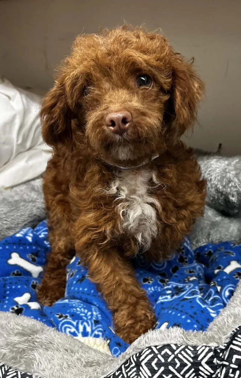 Olaf Mar thumbnail 3