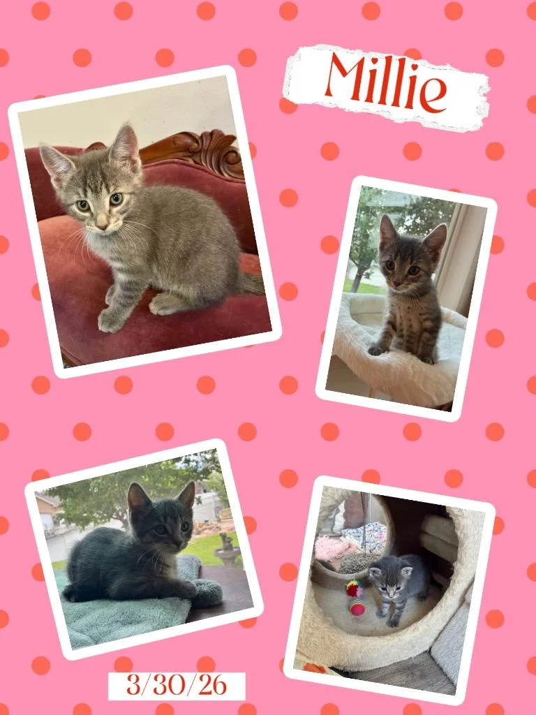Millie