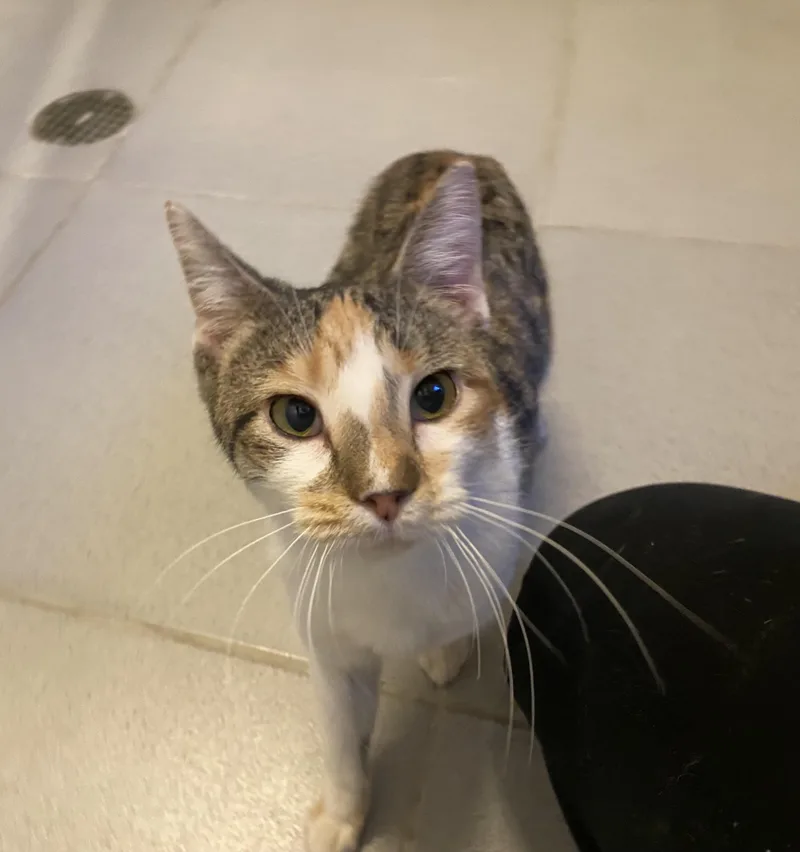 Freckles thumbnail 3